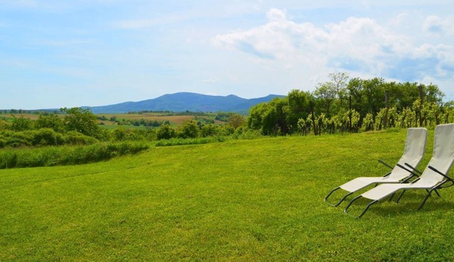Gîte on the heights of Rosheim, near Obernai on the wine route