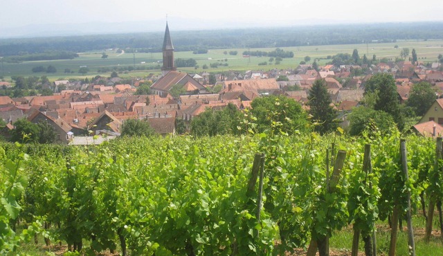 Gite on the wine route in peace with beautiful view of Kintzheim castle