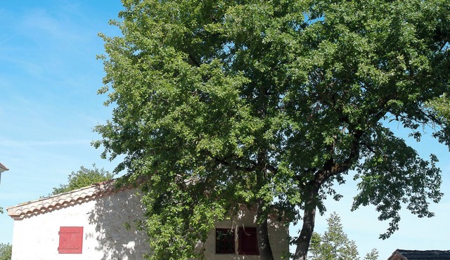Gîte Petite Maison in the Gers countryside