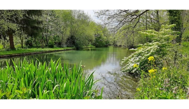Gite Pyrenees full nature - jacuzzi - 4/5 pers.