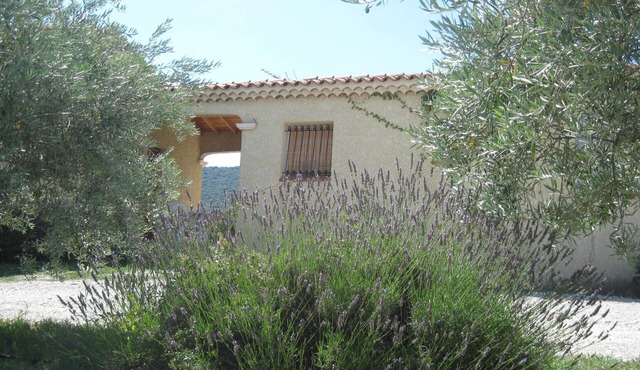 GITE RAISIN side VENTOUX *