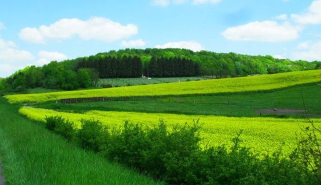 Gite Rarécourt, 2 bedrooms, 4 persons