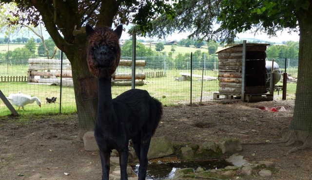 Gite Saligny-sur-Roudon, 2 bedrooms, 5 persons