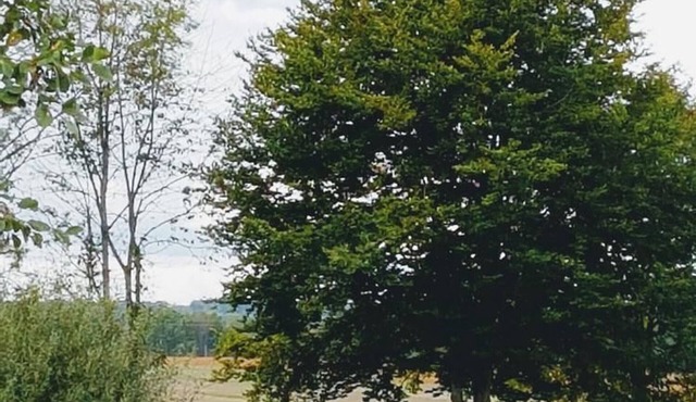 Gite Seveux-Motey-Seveux, 1 bedroom, 3 persons