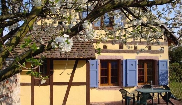 Gite "Sonneblüem un Pfefferminz"