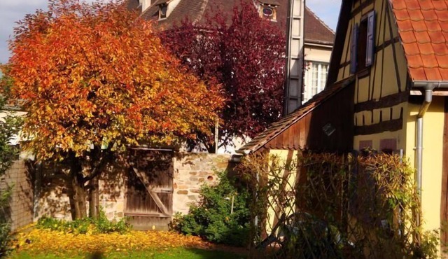 Gite "Sonneblüem un Pfefferminz"