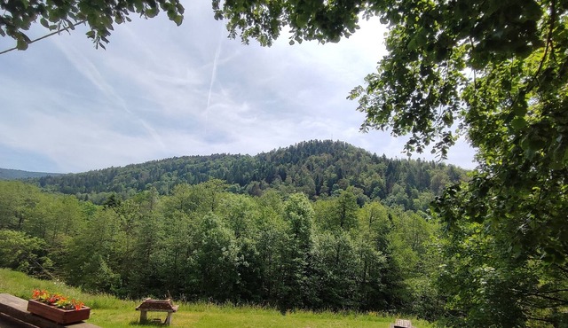 Gite standing Vosges du Sud and plateau of a thousand ponds