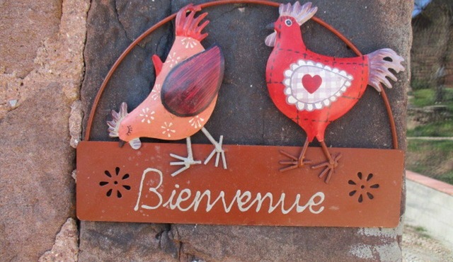 Gïte the rooster on the farm with pool