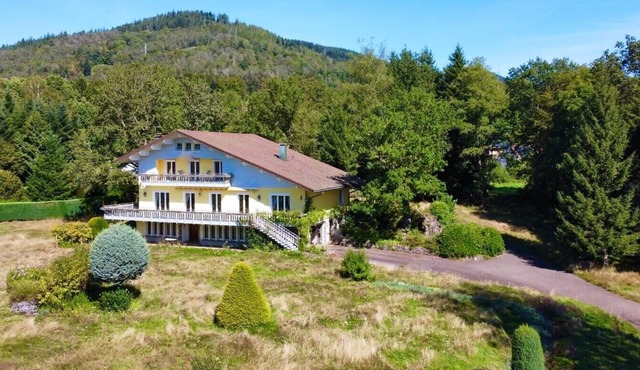 Gîte VALART house 550m2 with Jacuzzi, Sauna, Billiards, Table soccer, darts,.