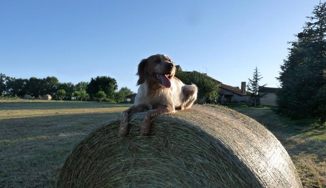 Gite Vergt, 3 bedrooms, 6 persons