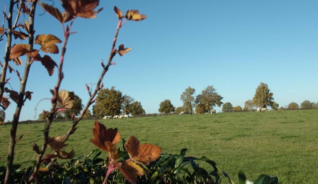 Gite Verneix, 3 bedrooms, 6 persons