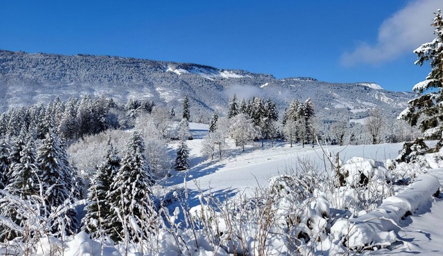 Gite vue Magnifique sur Montagne Dans le Vercors .pas de Voisin Ensoleillé
