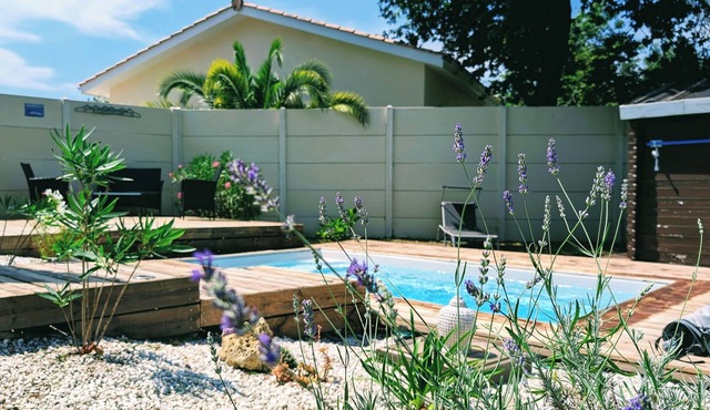 Gîte with heated swimming pool View of vineyards