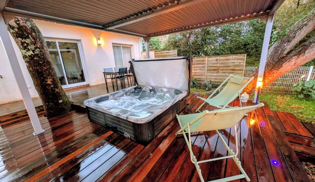 Gîte with Jacuzzi Vineyard view