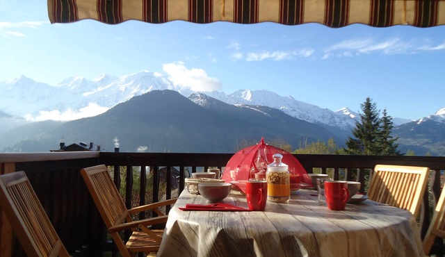 GITE WITH SAUNA MAGNIFICENT VIEW OF MONT BLANC + AIGUILLE MIDI.