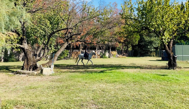 Gîte with swimming pool and tennis court