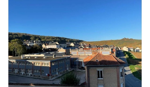 Gite with vineyard view for 6 people.