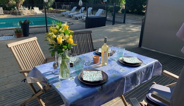 Gite1 T3 with swimming pool in the heart of the vineyards