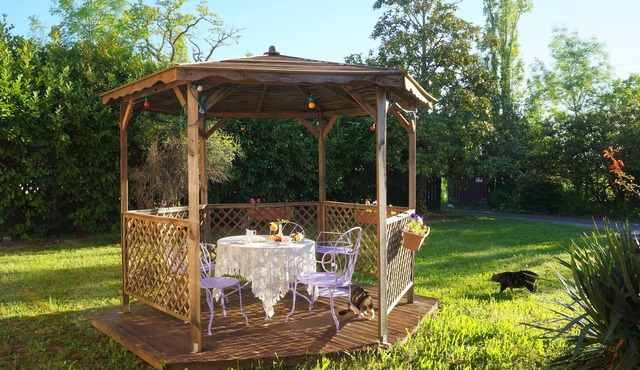 Gites 4 people unusual comfort near Toulouse axis Albi-Gaillac