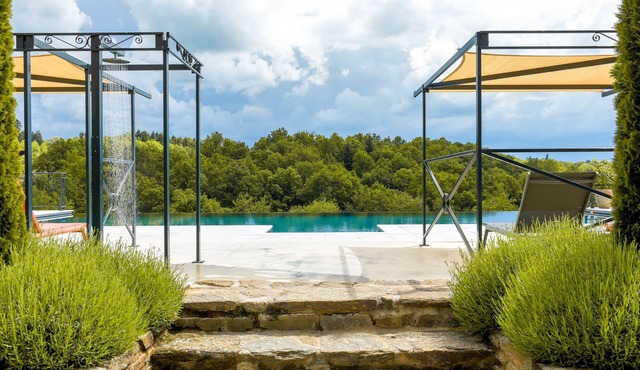 Gites de la fabrique, Infinity pool, jacuzzi and playground, trampolines stream