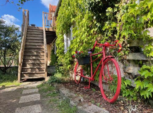 Gites des Trois Provinces, Zoo de Beauval