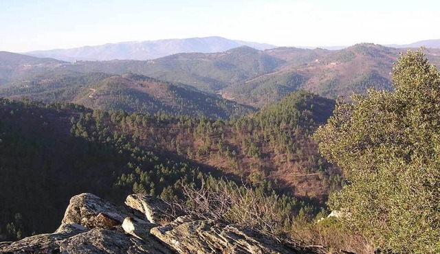 Gites in Cévennes bed linen/towel rental possible No pets allowed