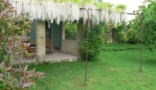 Gîtes La Glycine facing the Saint-Emilion river