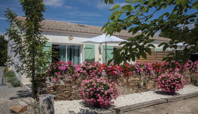 Gites Les Sables d'Olonne with heated swimming pool