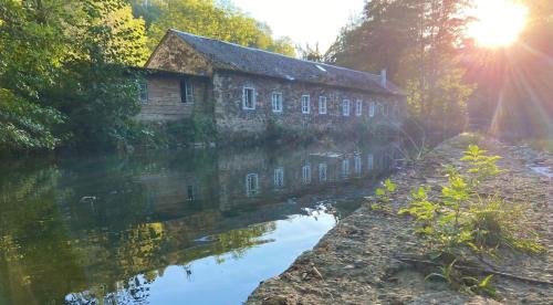 Gites Libellule at Auberge de l'Arac, Bar, Restaurant