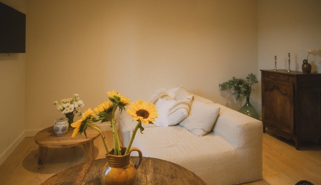 Gites near Pezenas Domaine croix maro