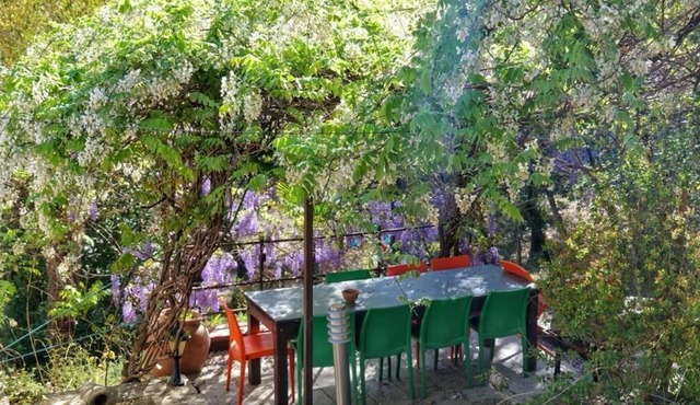 Gîtes of Mas-Saint-Laurent for 12 people