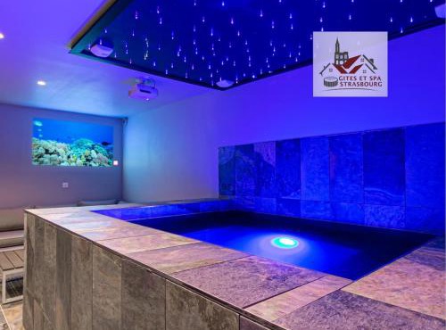 Gites Spa Strasbourg - Villa Gorille - SPA Privé, Sauna, Borne d'arcade, Babyfoot
