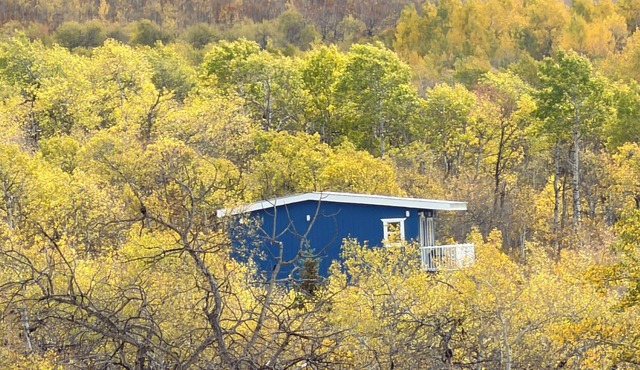 Glacier Mirador - A New Forest Fortress overlooking the Glacier National Park