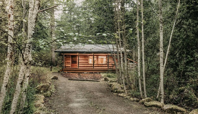 Glacier Springs Cabin #76 - Wi-Fi - Pets OK