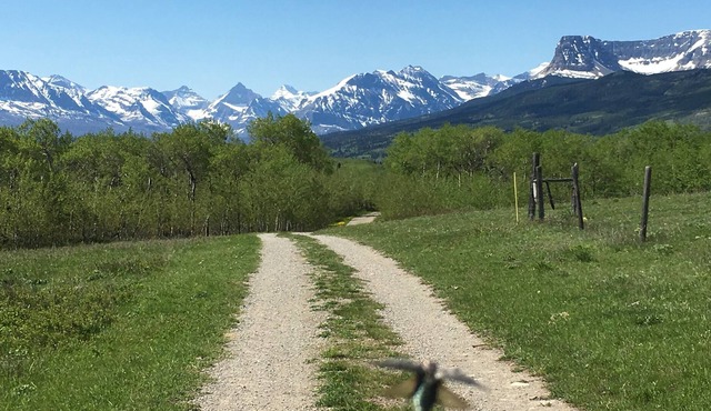 Glacier Summit - Spacious, New & Modern Villa Overlooking the Forest & Rockies