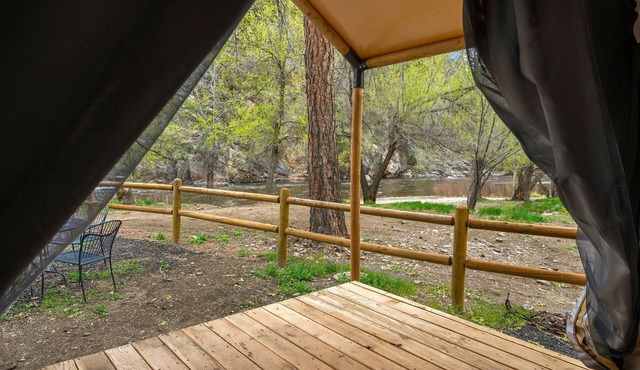 Glamp 1- Bighorn Sheep