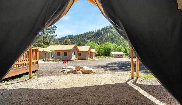 Glamp 15- Delicate Bluebell