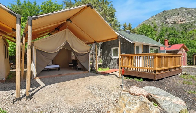 Glamp 17- Majestic Moose