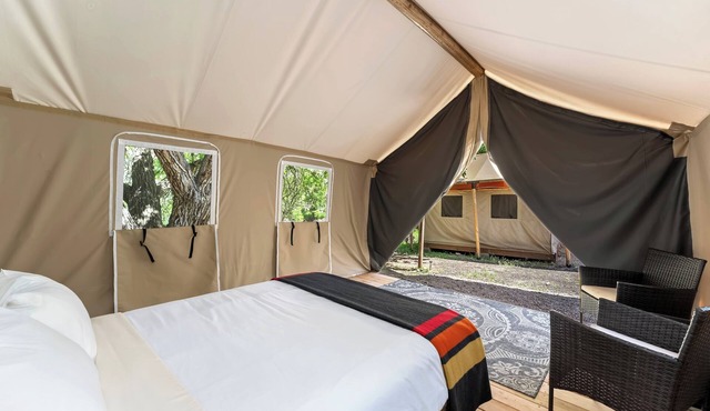 Glamp 7- Cutthroat Trout