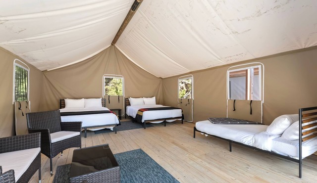 Glamp 9- Hummingbird