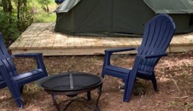 Glamp under the stars on a farm!