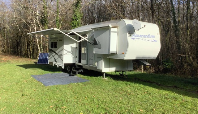 Glamping in the forest