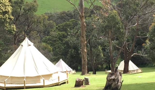 Glamping at Iluka Retreat - Lakeside