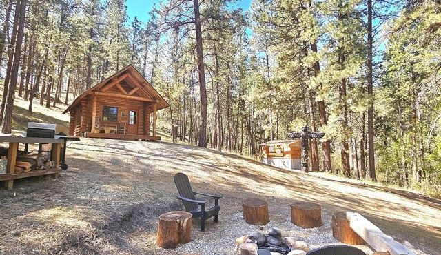 GLAMPING at it's best in 2025! Visit ournCabin at Montana Mountain Time Farms!