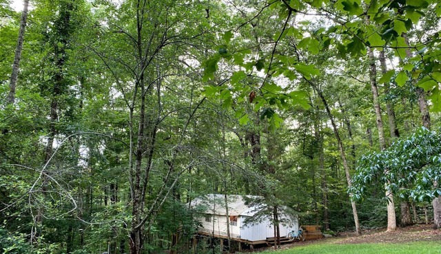Glamping at Paradise Point in Signal Mountain, TN