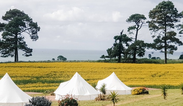 Glamping At Terindah