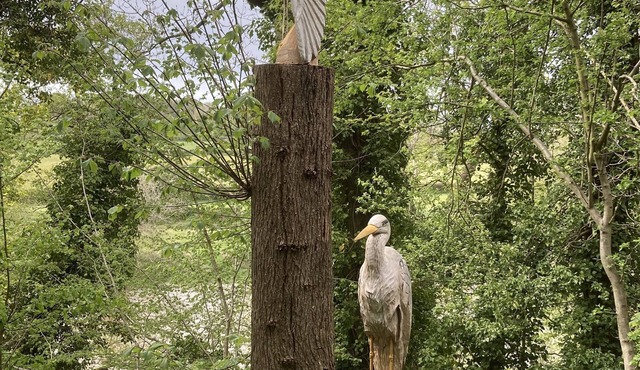 Glamping at The Homestead - Ensuite bell tent