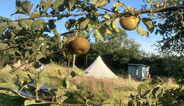 Glamping at The Homestead - Ensuite bell tent