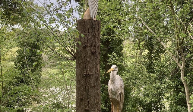 Glamping at The Homestead - Ensuite bell tent