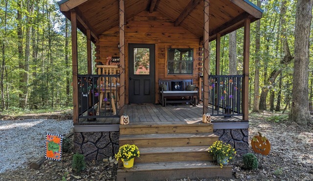 Glamping at Tiny House!nPerfect Romantic Cabin Getaway on Horse Farm